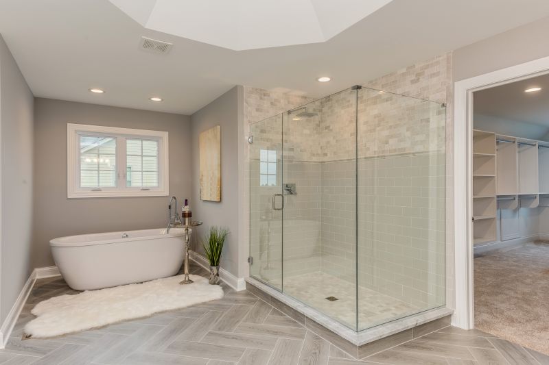 Elegant Bathtub and Shower Combo